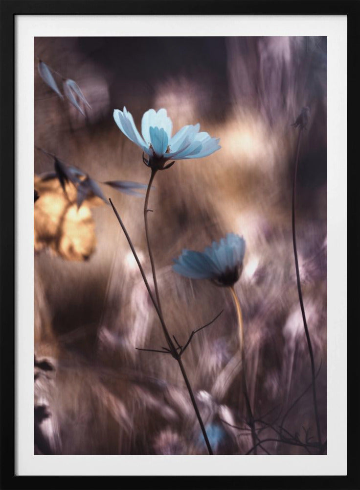 Herbststimmung | Poster