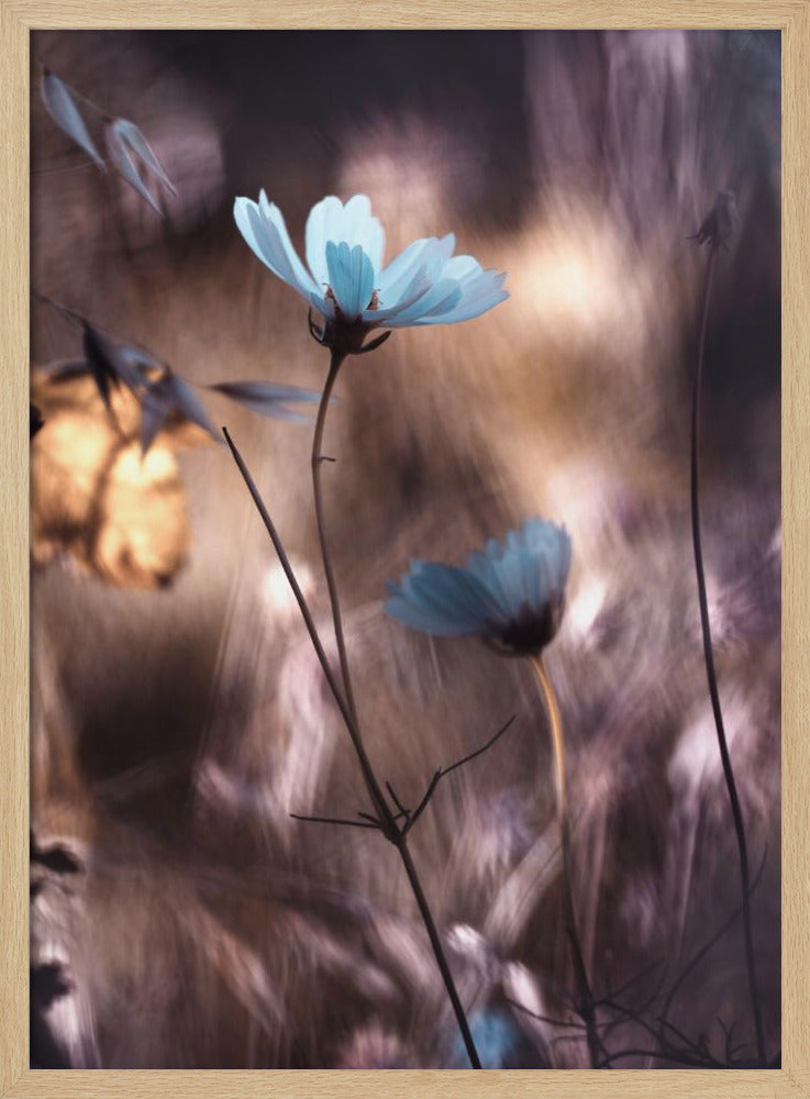 Herbststimmung | Poster