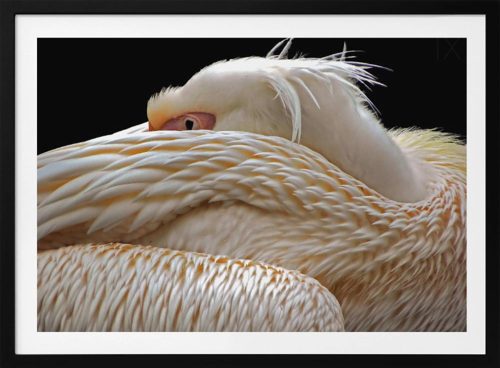 Halb schlafen... | Poster