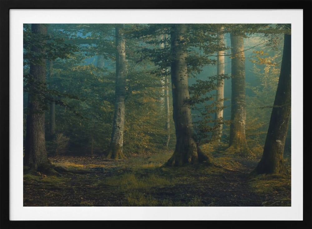 Oktoberfarben | Poster