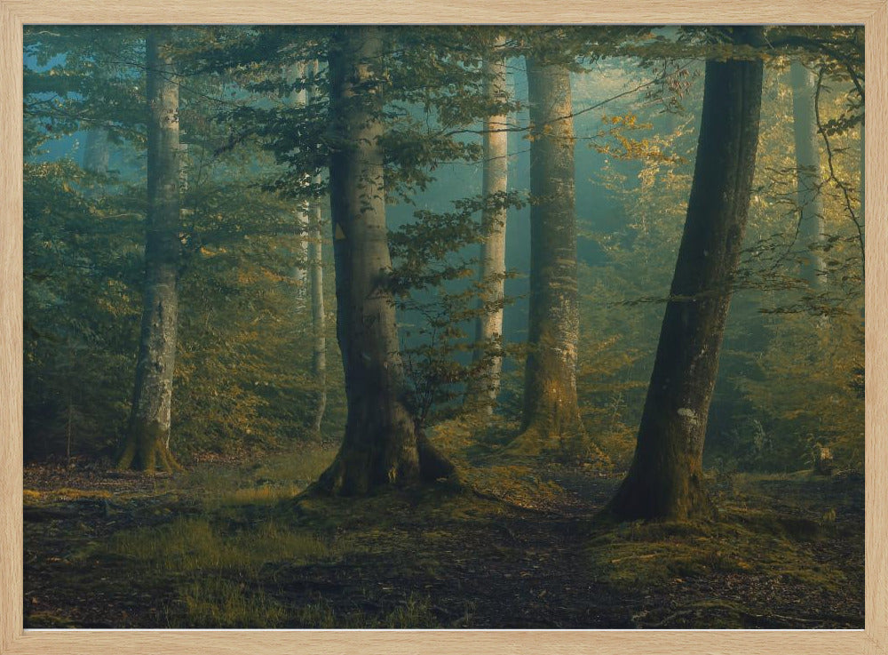 Oktoberfarben | Poster