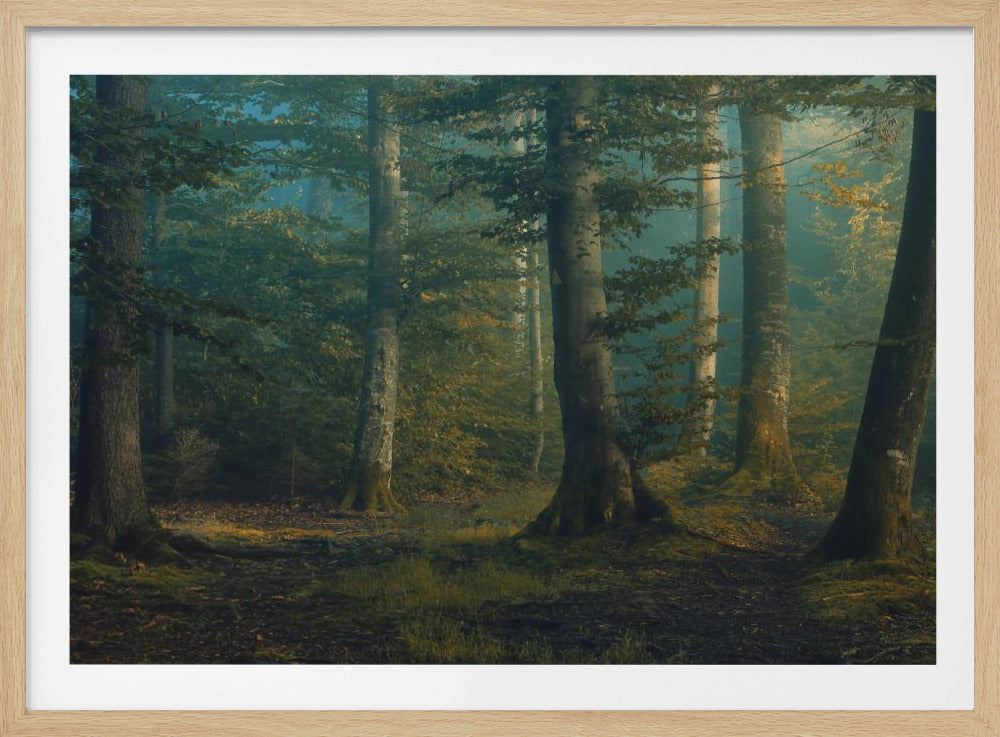 Oktoberfarben | Poster