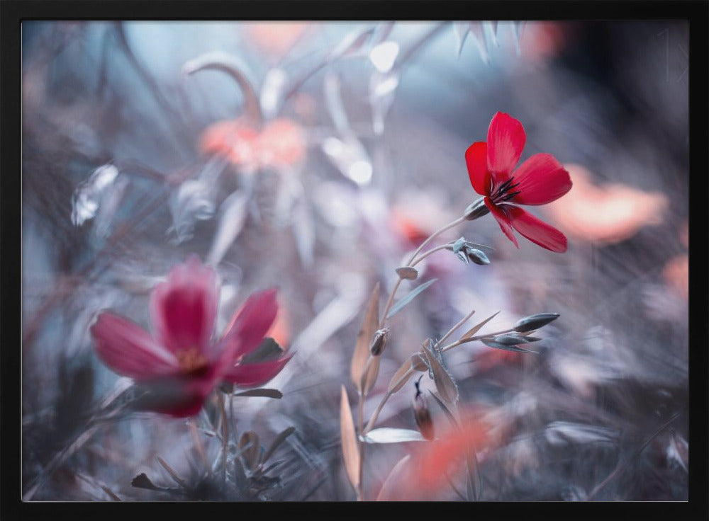 Eine Blume, eine Geschichte | Poster