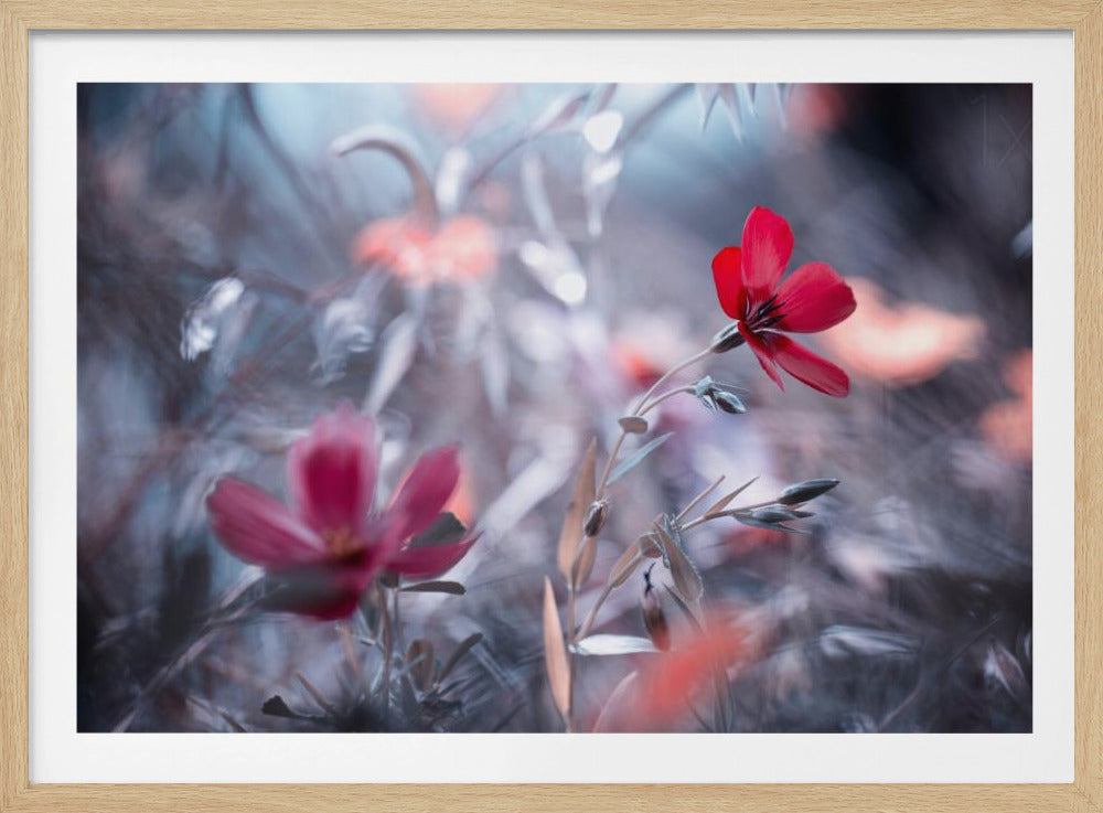 Eine Blume, eine Geschichte | Poster