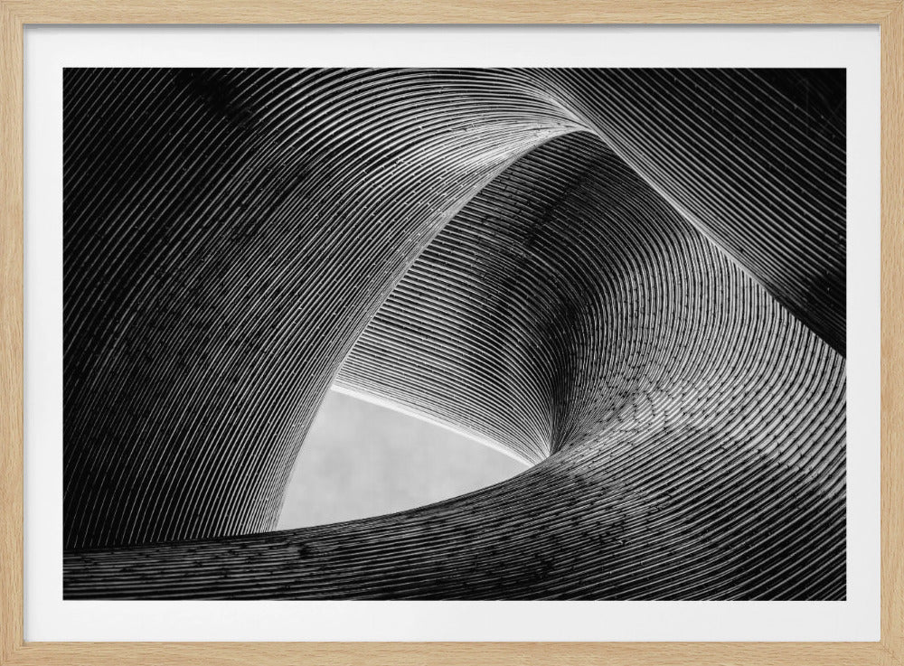 entwined | Poster