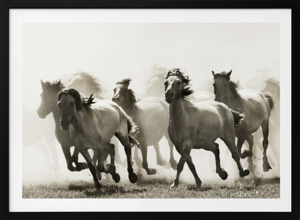 Pferd | Poster