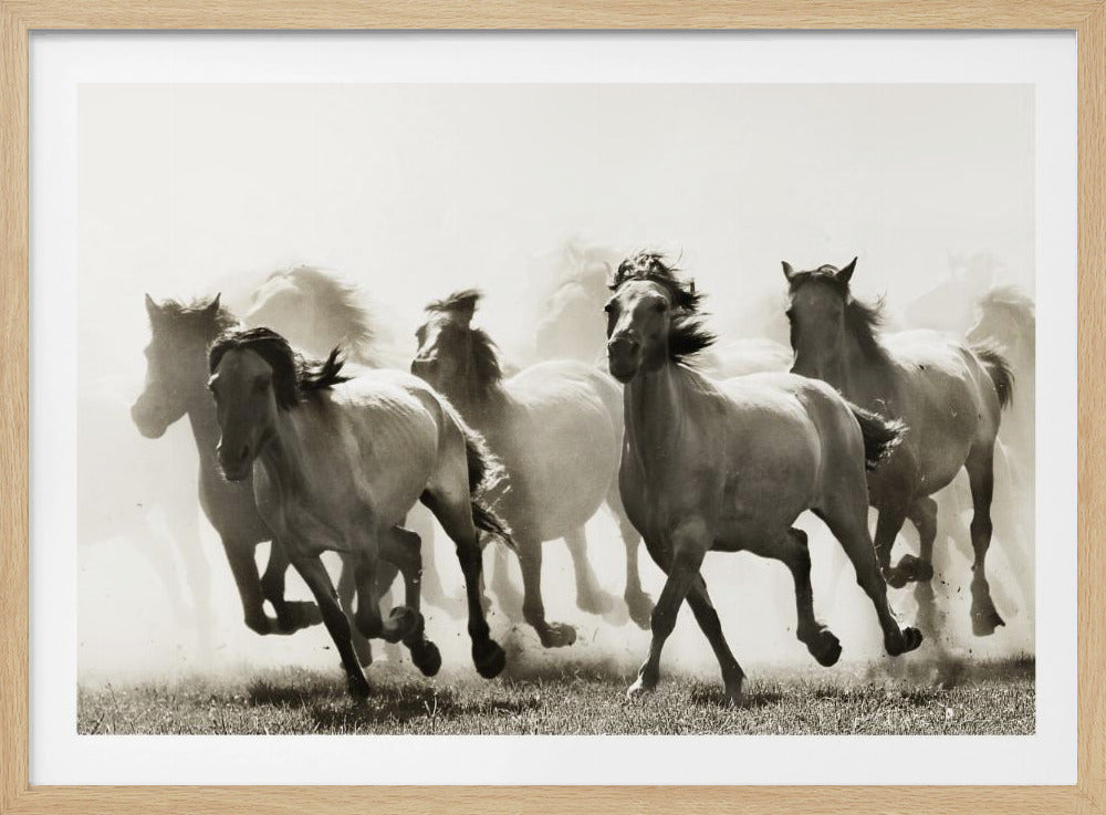Pferd | Poster