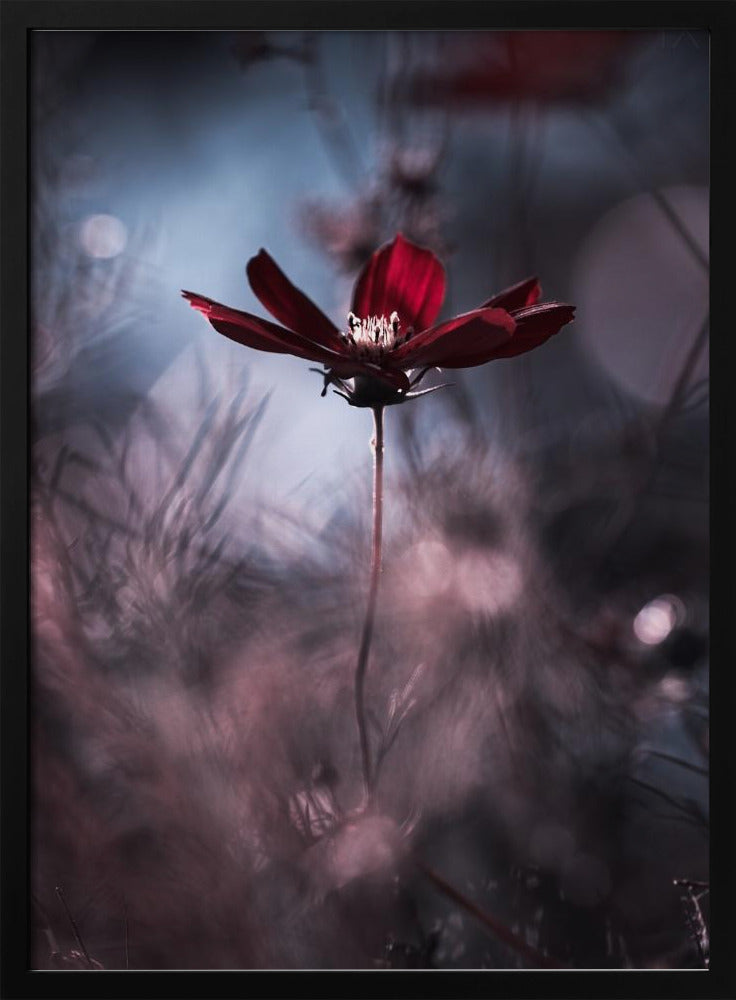 Abendgarderobe | Poster