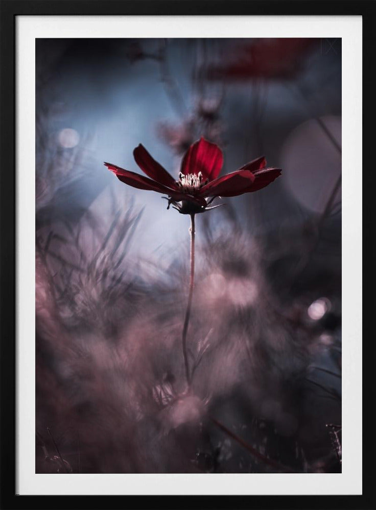 Abendgarderobe | Poster