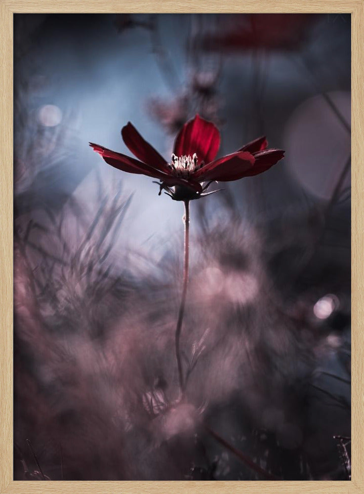 Abendgarderobe | Poster
