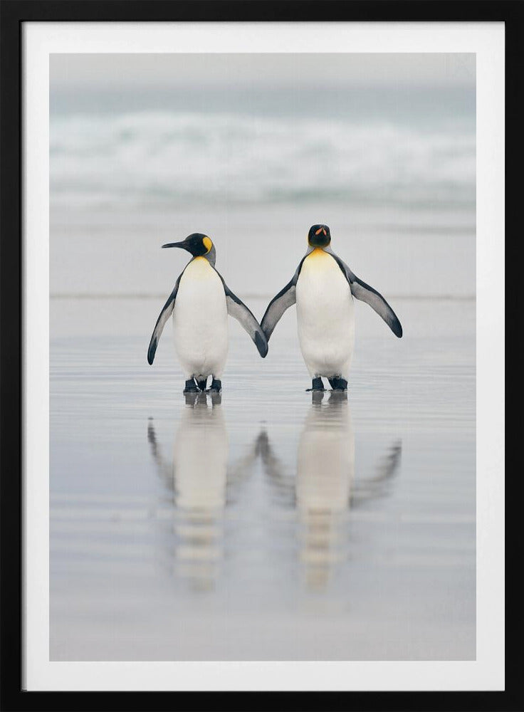 Freunde | Poster