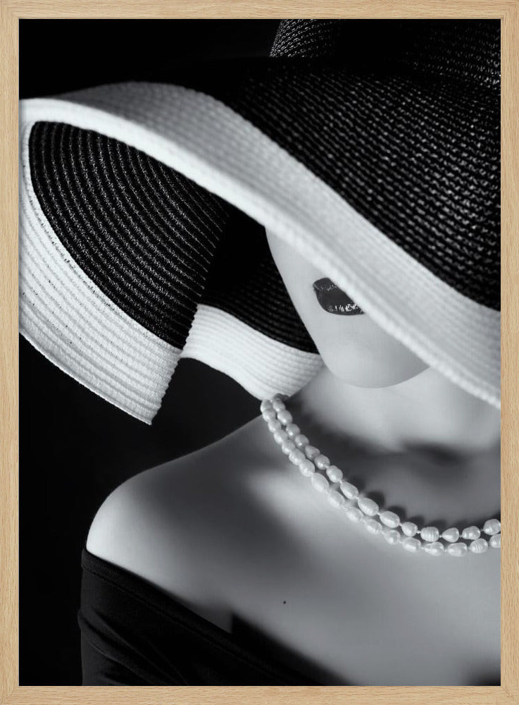 Eleganz im Schatten | Poster