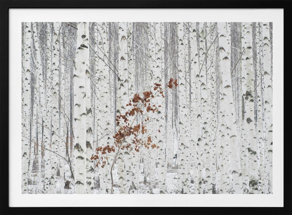 From White | Poster