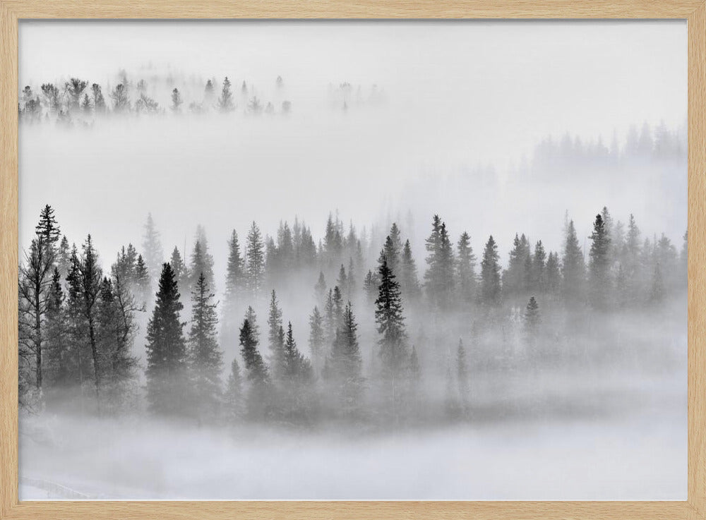 Nebliger Wald | Poster