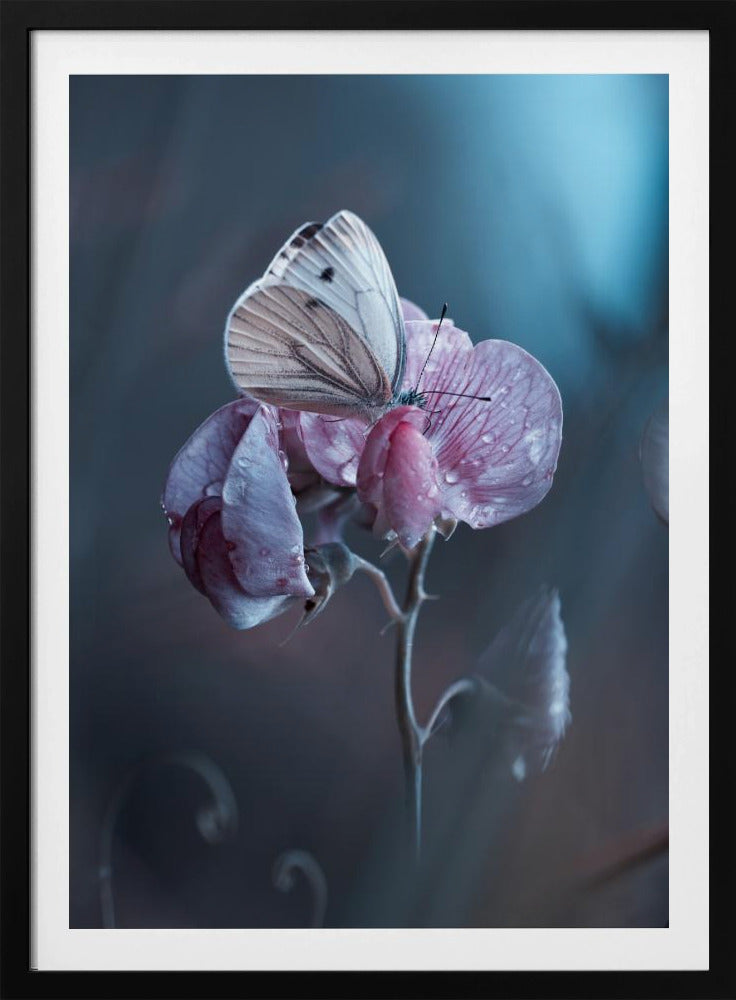 Verdorbene Liebe | Poster