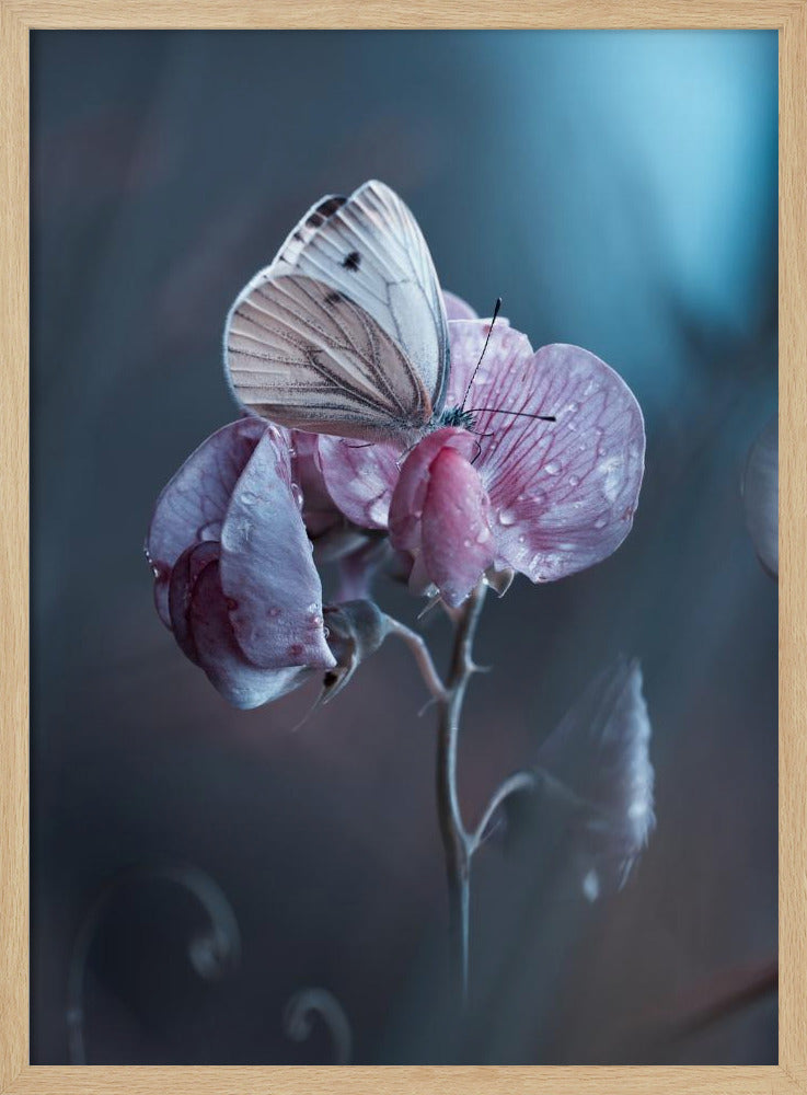 Verdorbene Liebe | Poster