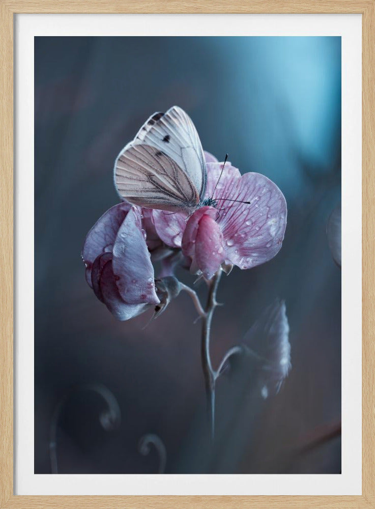 Verdorbene Liebe | Poster