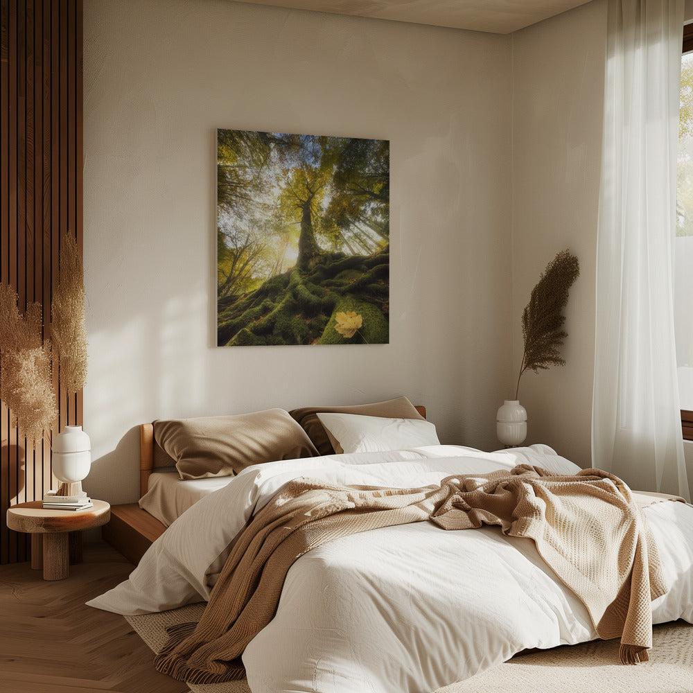Der Abschied eines Blattes | Leinwand