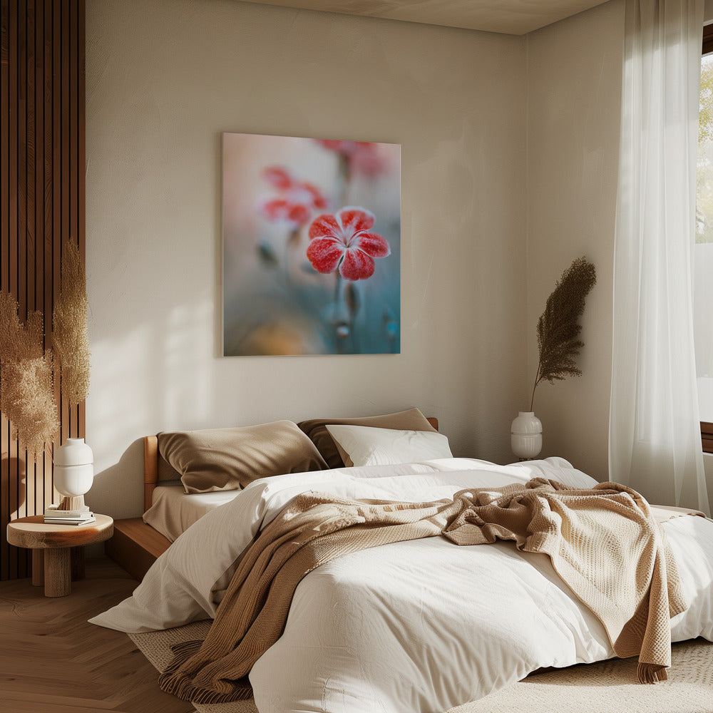 Dianthus | Leinwand
