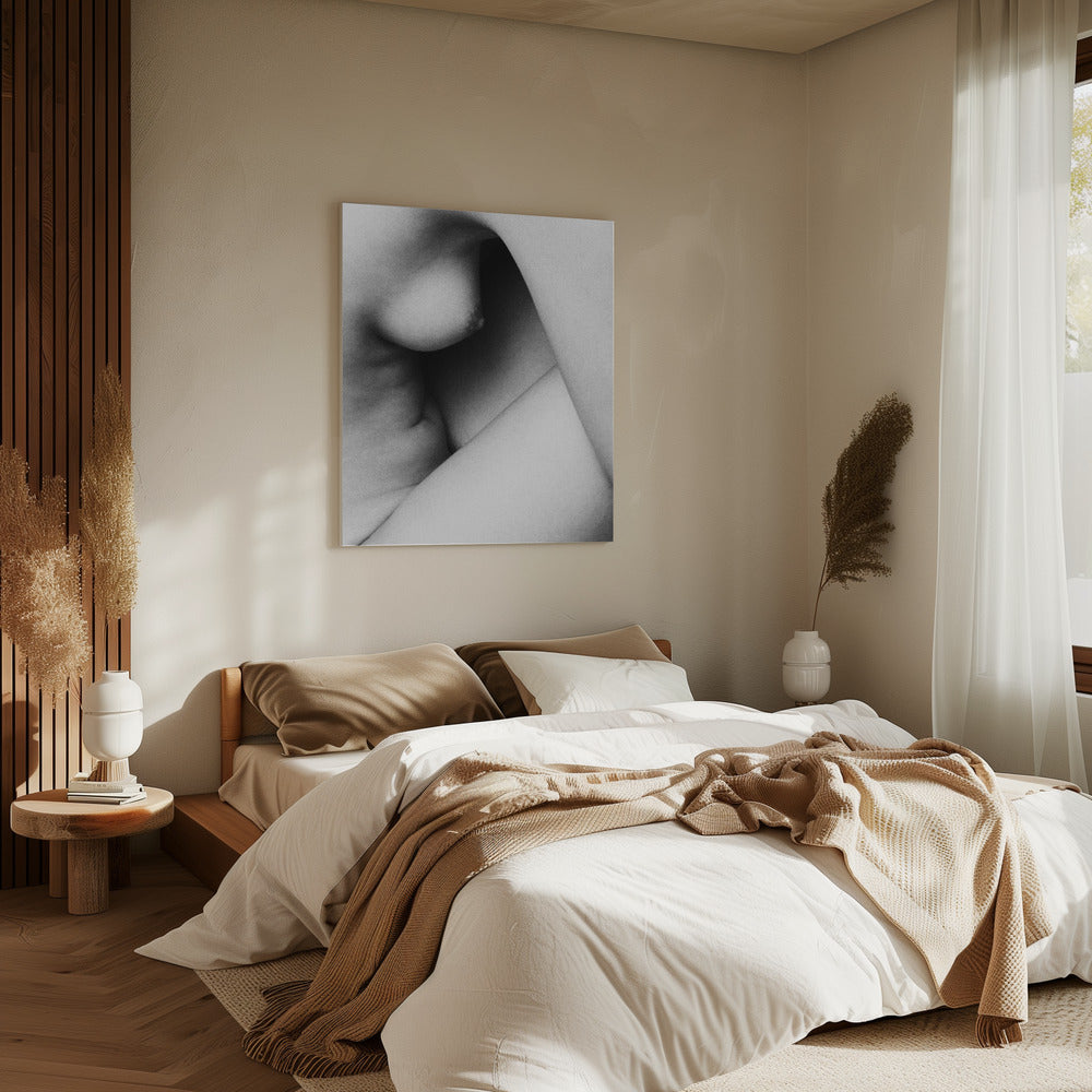 Shapes | Canvas