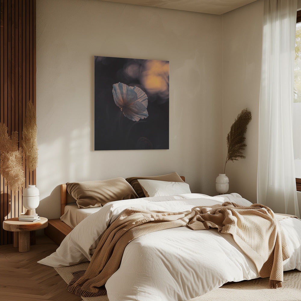 Letzter Strahl | Leinwand