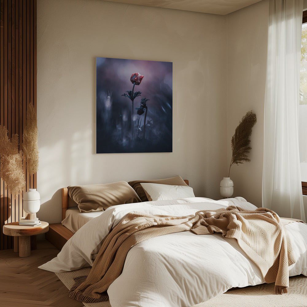 Early Girl | Canvas