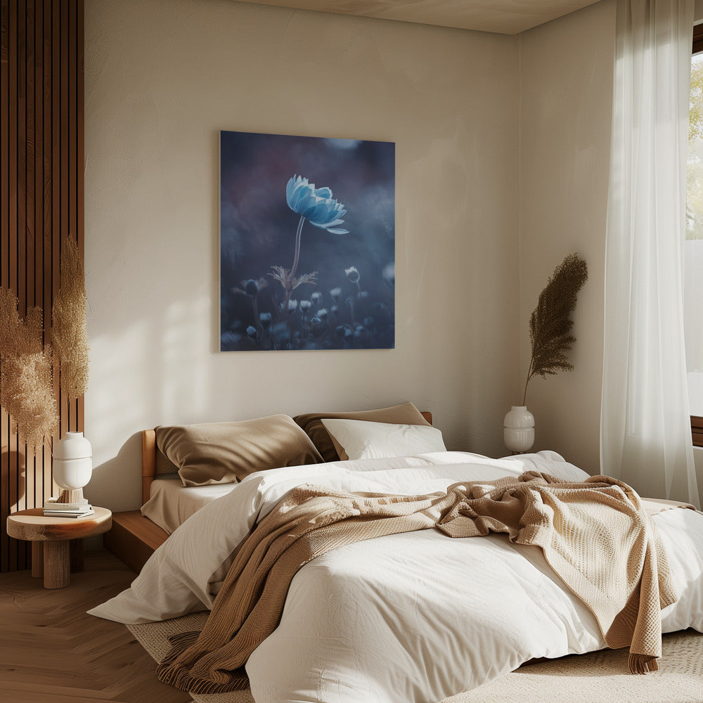 A short story of flower | Canvas