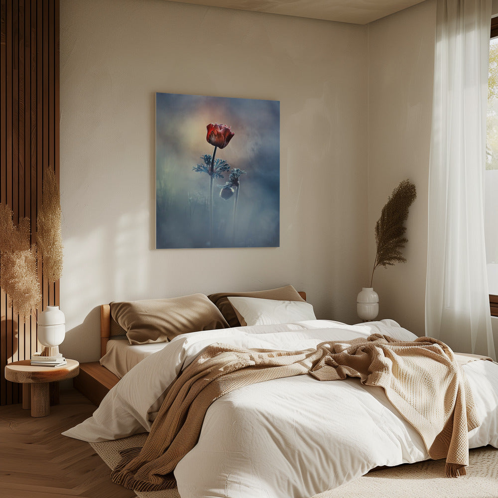 Where poetry and memories remain | Canvas