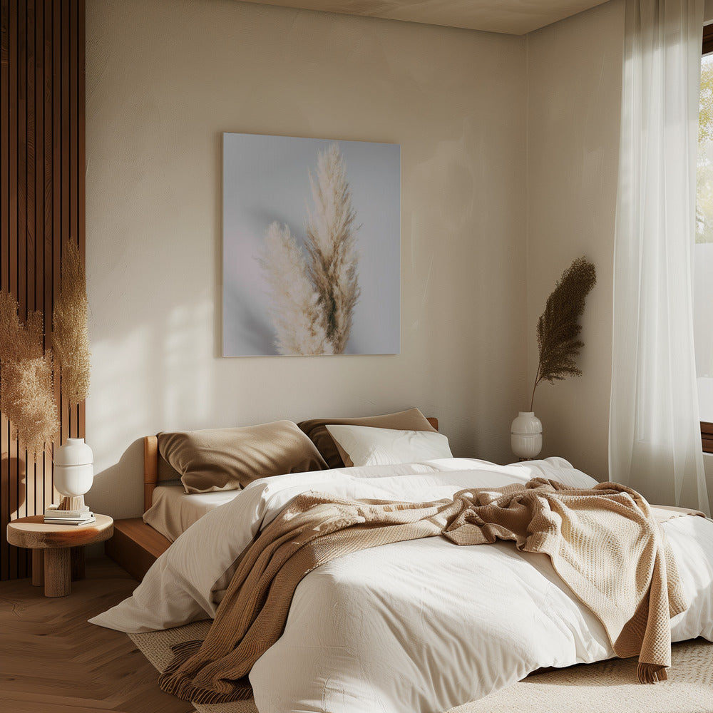 Pampas Grass Grey | Canvas