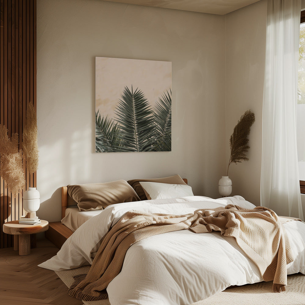 Palm leaves and wall_1 | Canvas