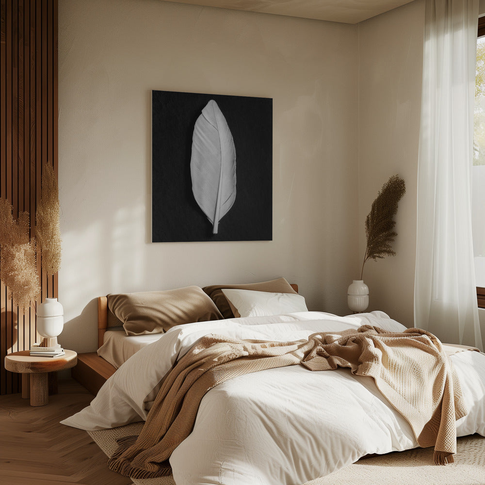 Feder_008 | Leinwand