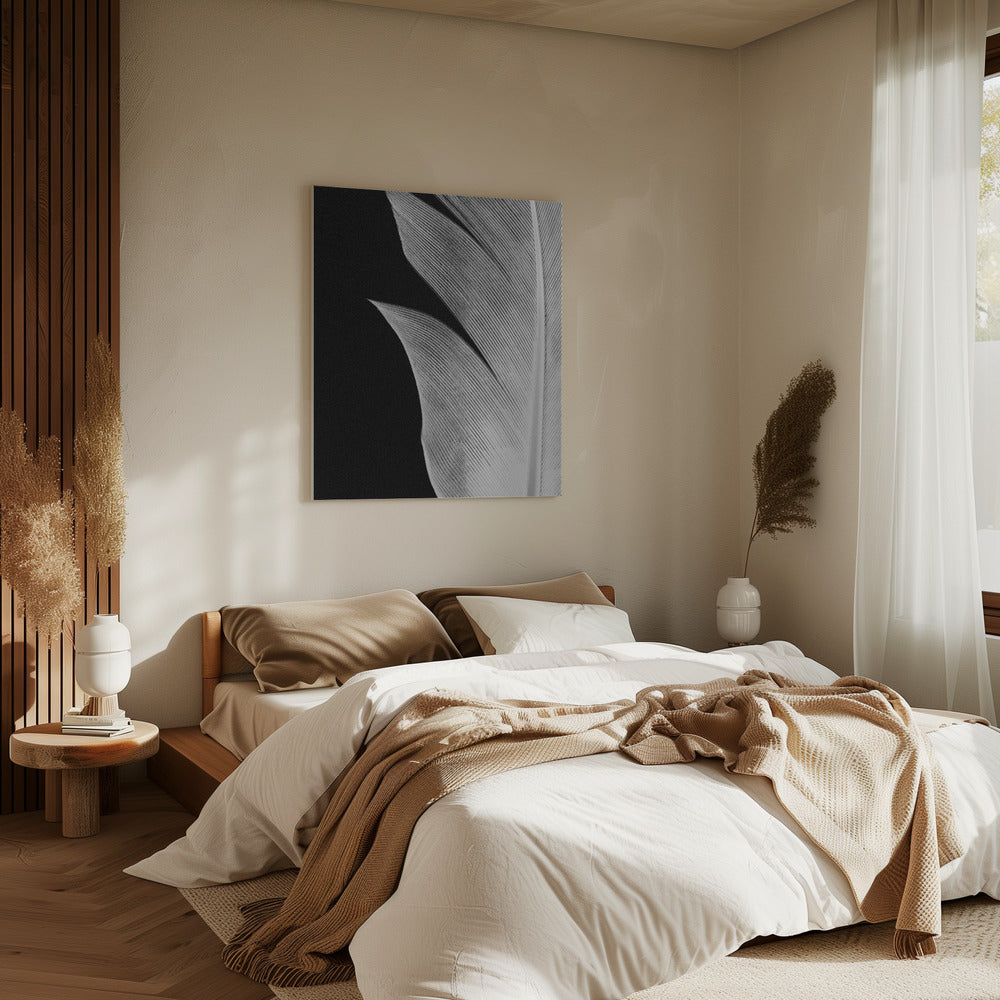 Feder_005 | Leinwand