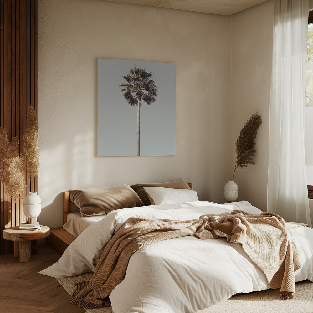 Palme_001 | Leinwand