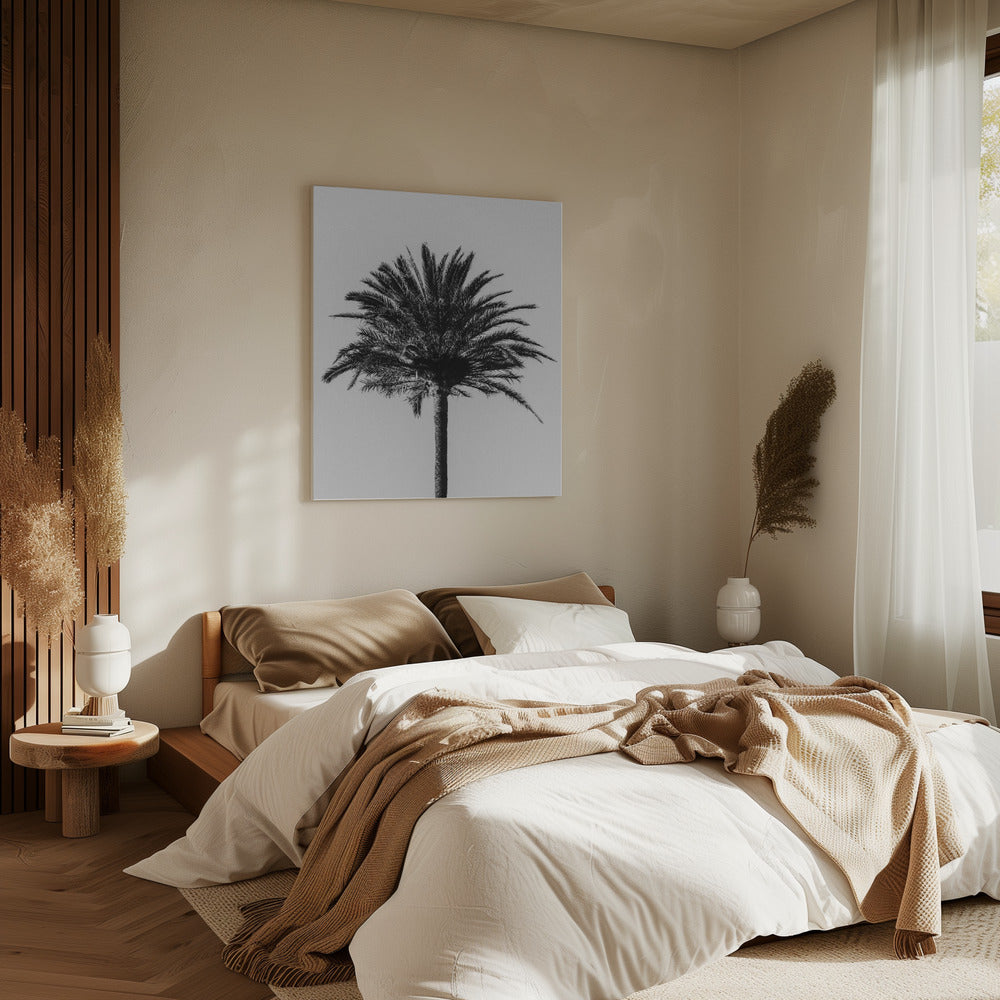 Palme_003 | Leinwand