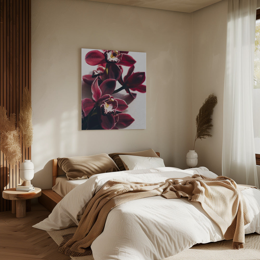 Rote Orchideen mit zarten Blütenblättern | Leinwand