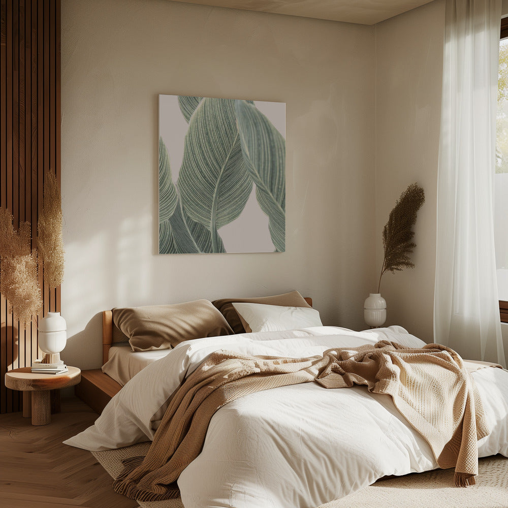 Calla Leaf | Canvas