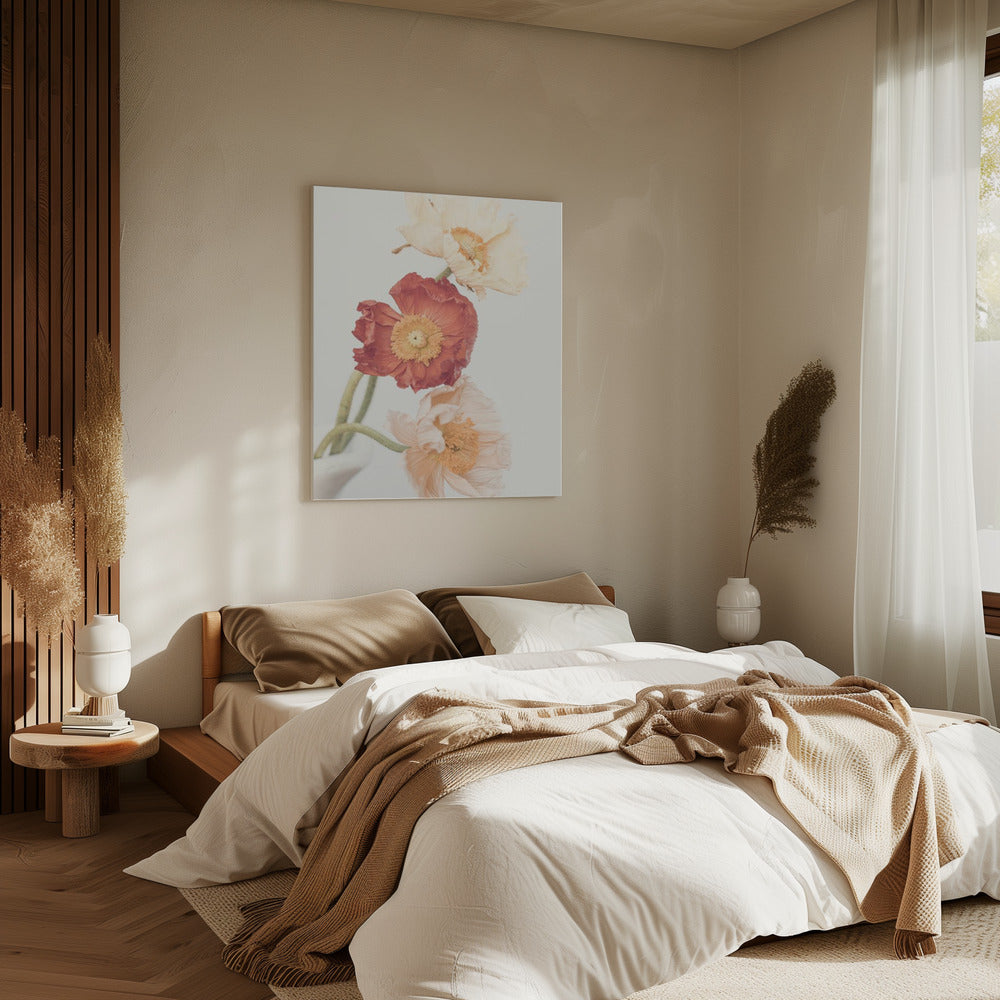 Poppies | Canvas