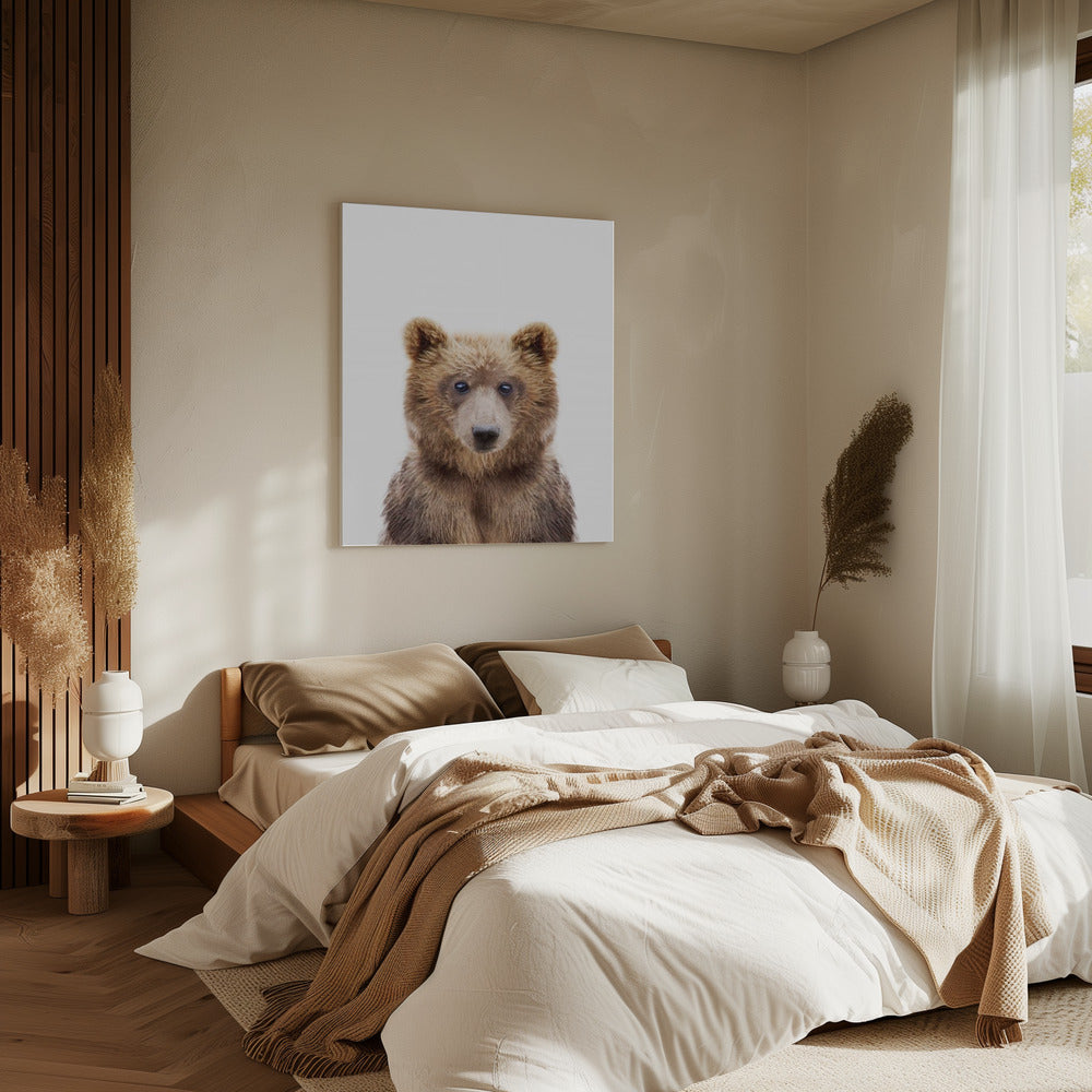 Baby Bear | Canvas