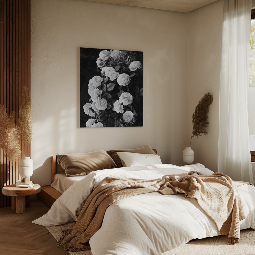Rose Bush | Canvas