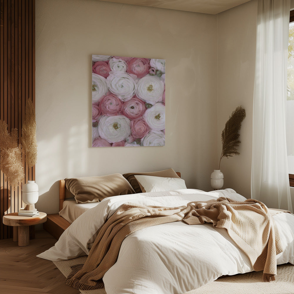 Verstreute Ranunkeln in gedecktem Rosa II | Leinwand