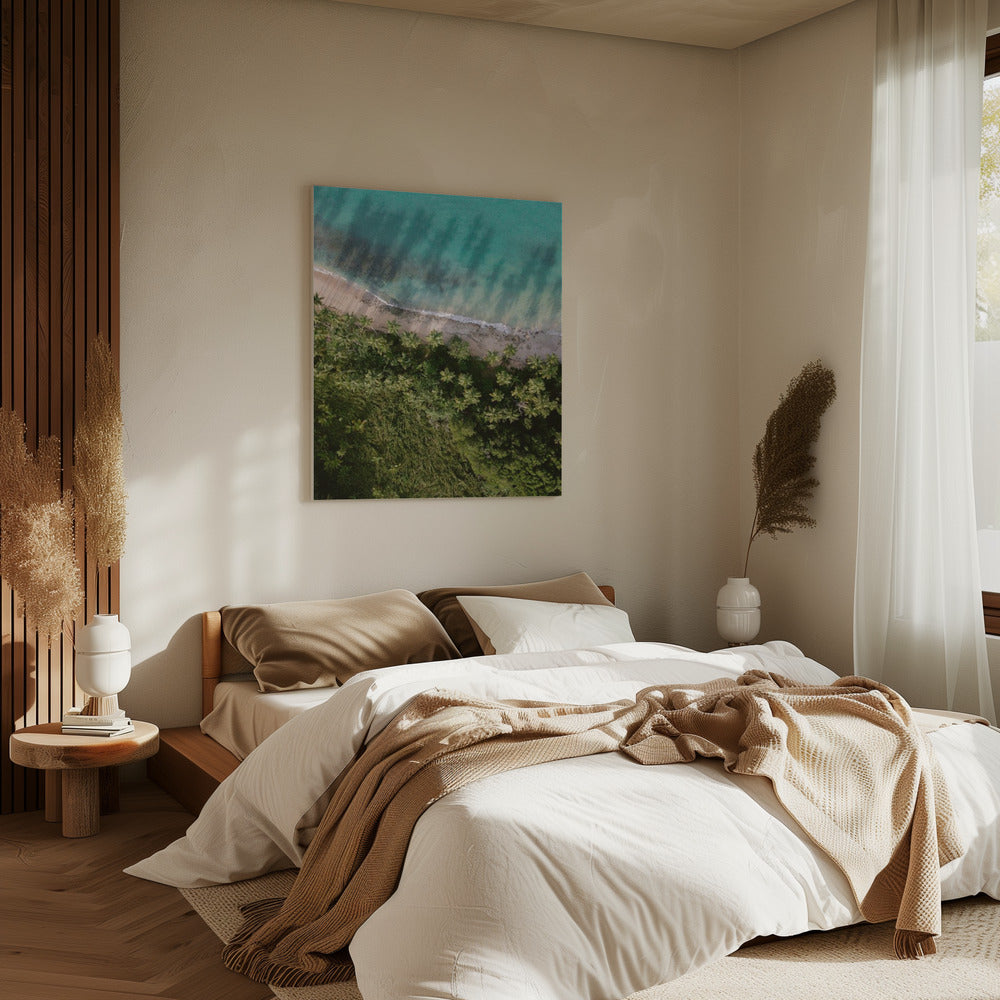Palm Beach von oben | Leinwand