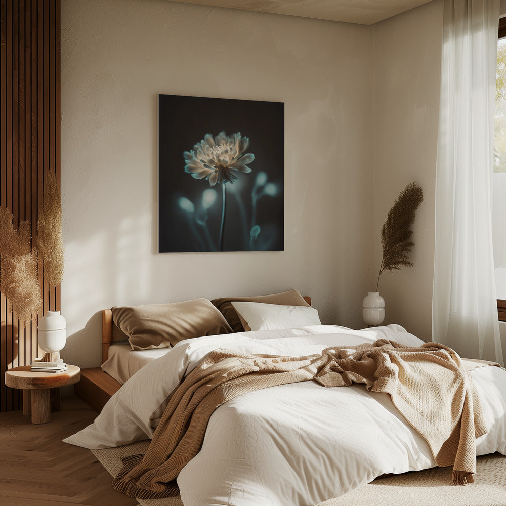 “Luminous Blossom” | Canvas