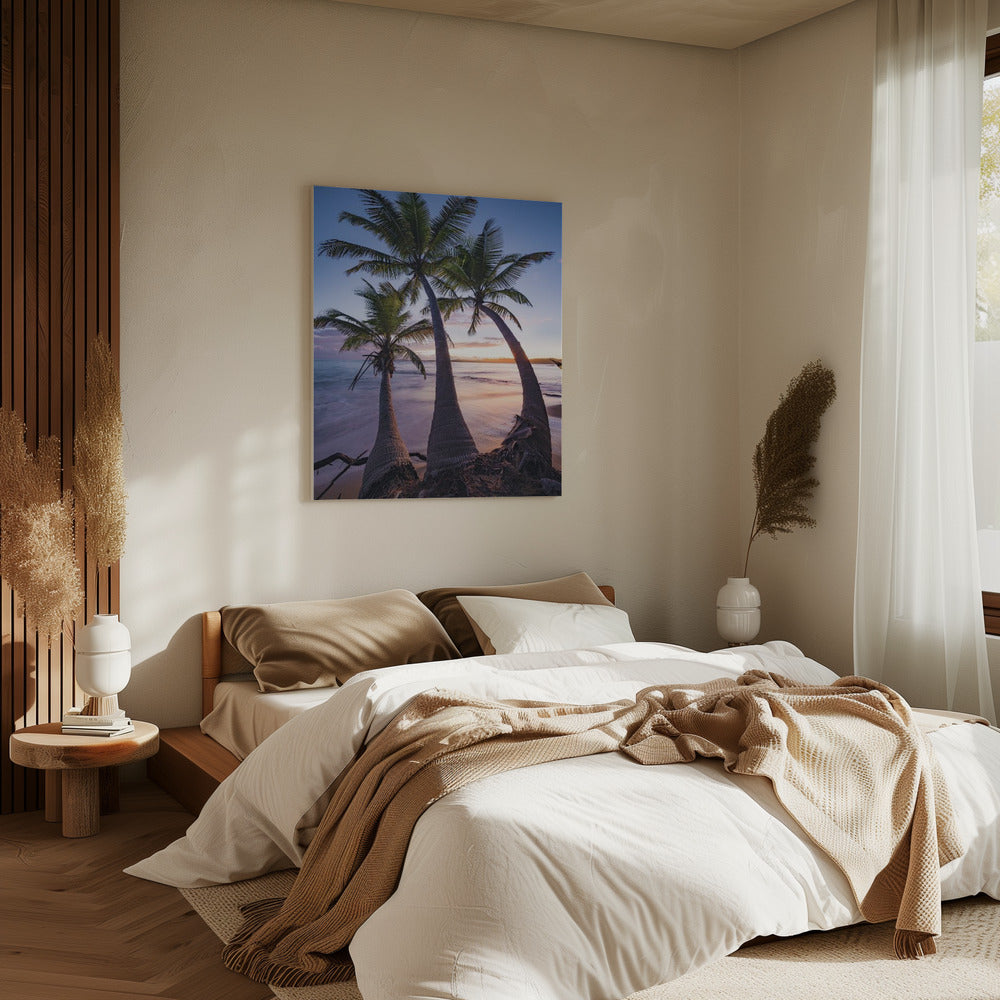 Palmy Twilight | Leinwand