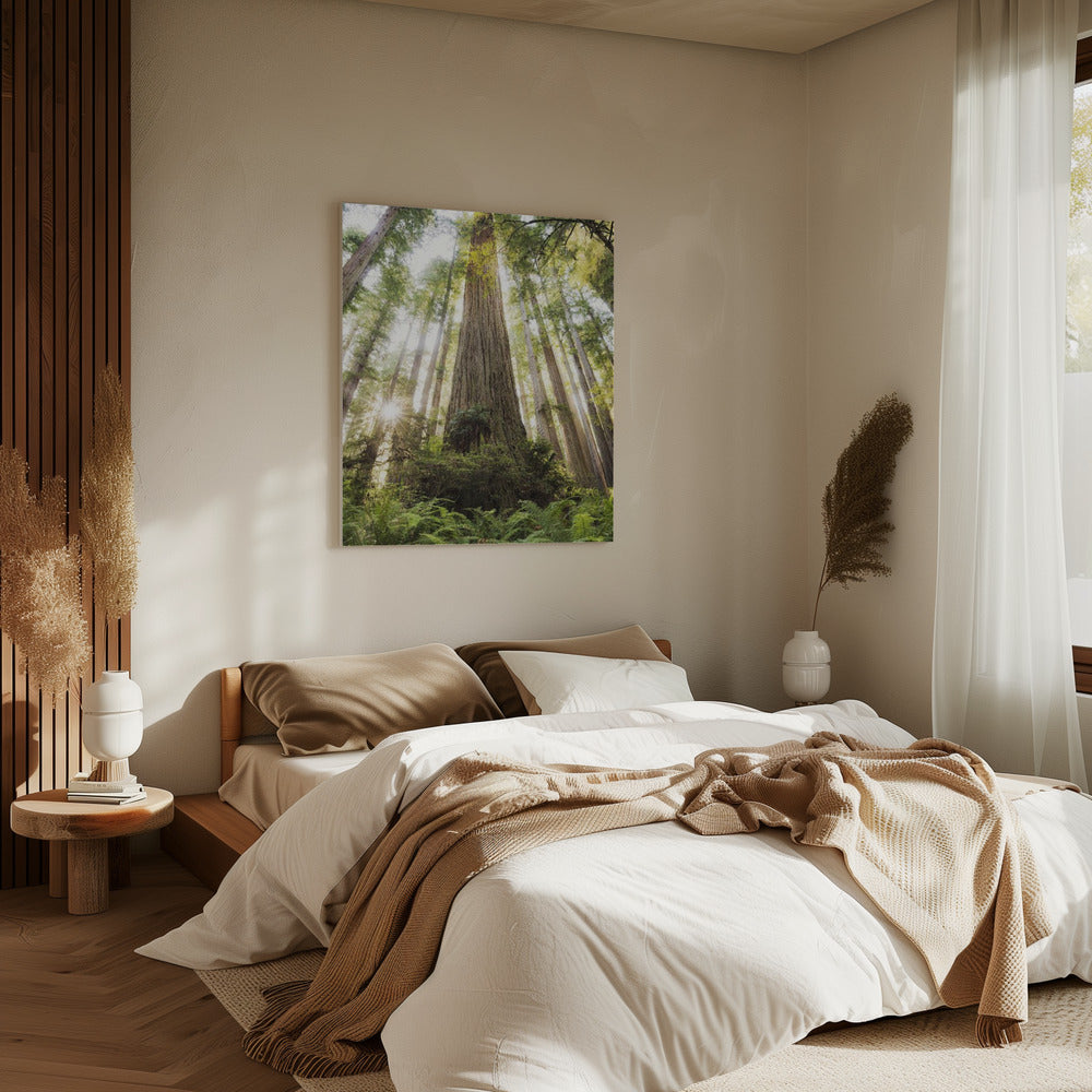 Beautiful Forest | Canvas