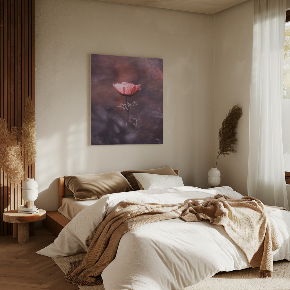 Ardente | Leinwand