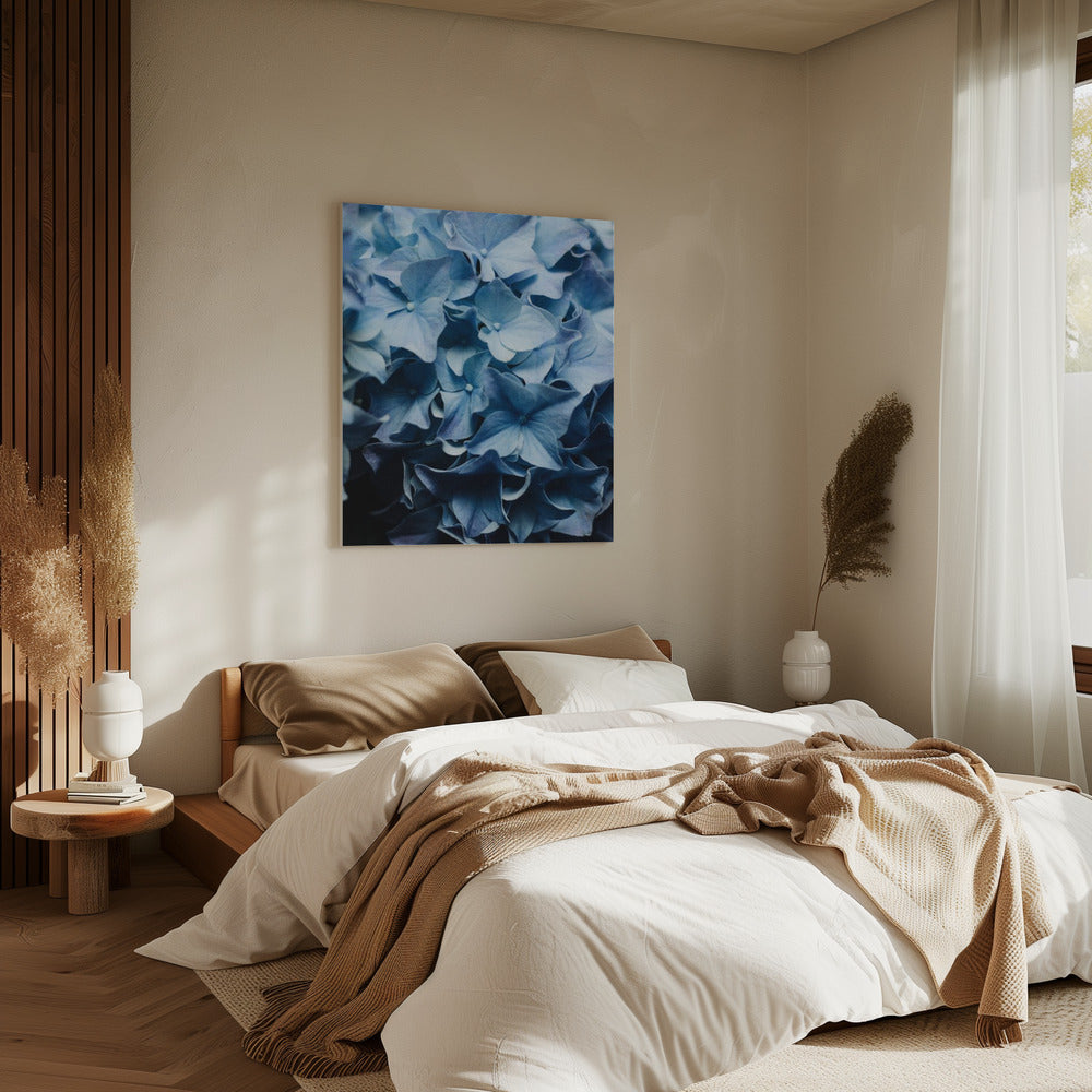 Leuchtend blaue Hortensien | Leinwand