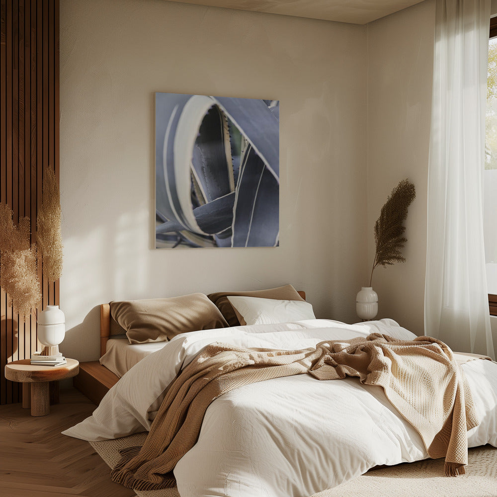 Spirale der Natur | Leinwand