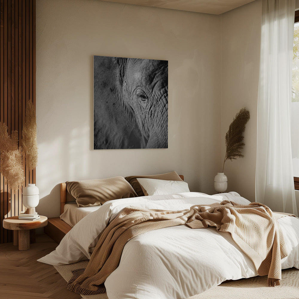 Majestätische Weisheit | Leinwand