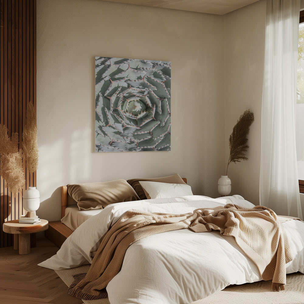 Spiral Succulent Maze | Canvas