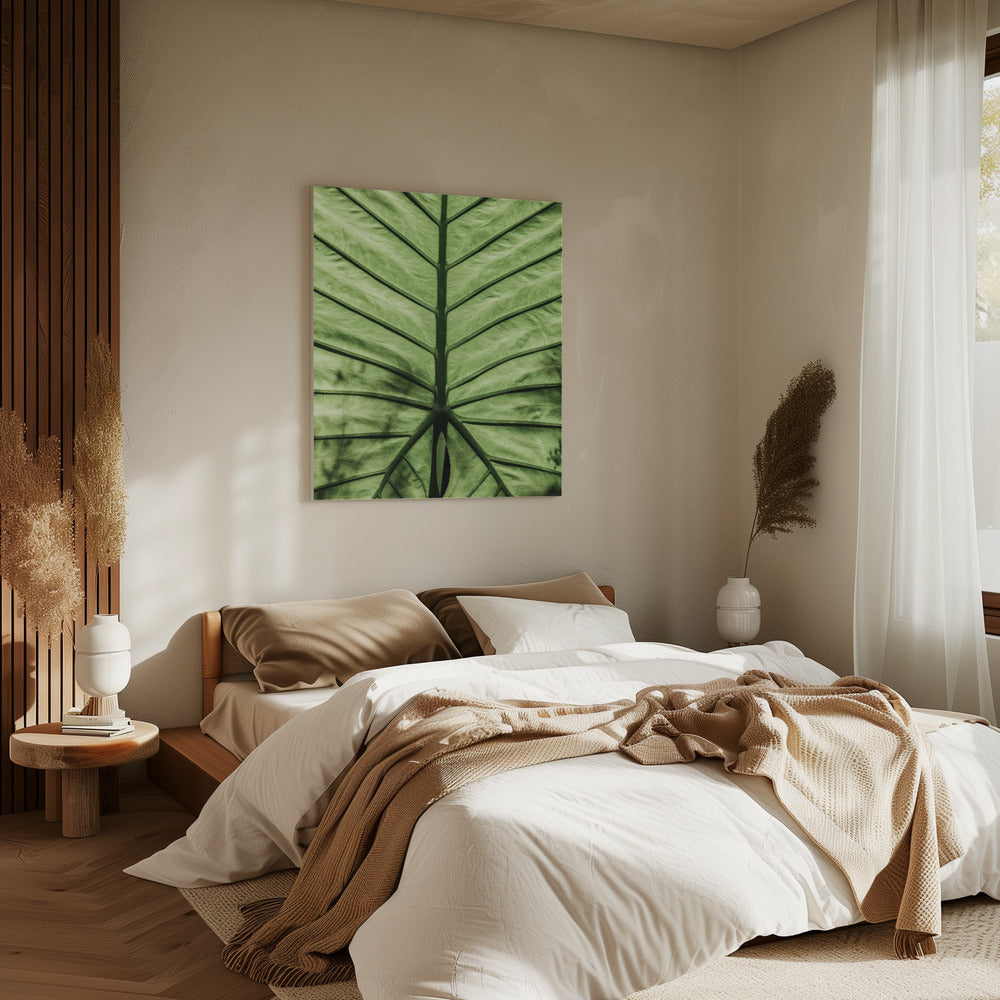 Leaf Vein Symphony | Canvas